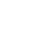 Logo_DLS_white
